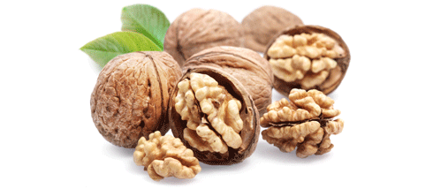 walnuts