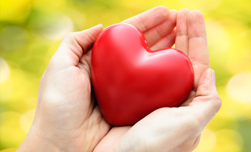 Red heart in human hands 