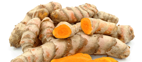 turmeric plant