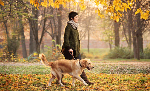 Walking the dog in the park