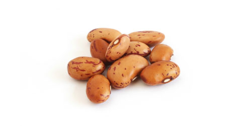Beans