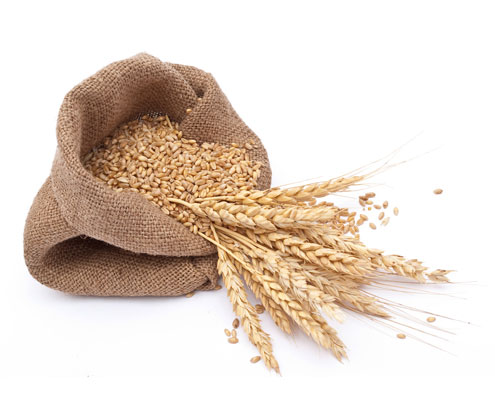 Whole Grains
