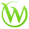 What is Wellness